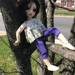 Meet your Posher, Haydee